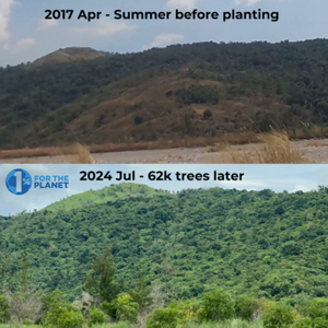 Gift a Tree - A tree planted on your behalf in Zambales (Aetas) and cared for 3 years
