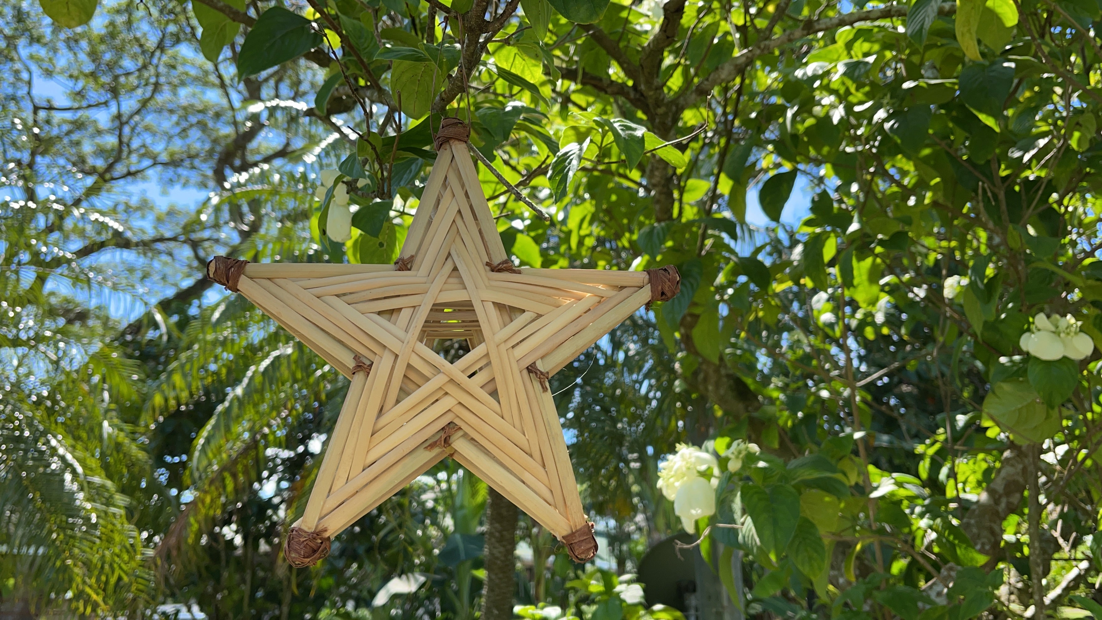 Artisan Bamboo Stars / Parol Kawayan (2 Designs)