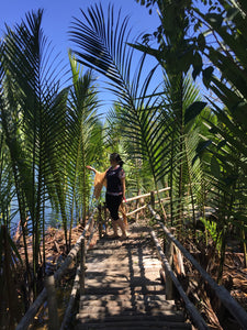 Give a Tree, Support a Fisherman - Mangrove Reforestation in Lobo, Batangas and Abatan Bohol