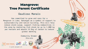 Give a Tree, Support a Fisherman - Mangrove Reforestation in Lobo, Batangas and Abatan Bohol