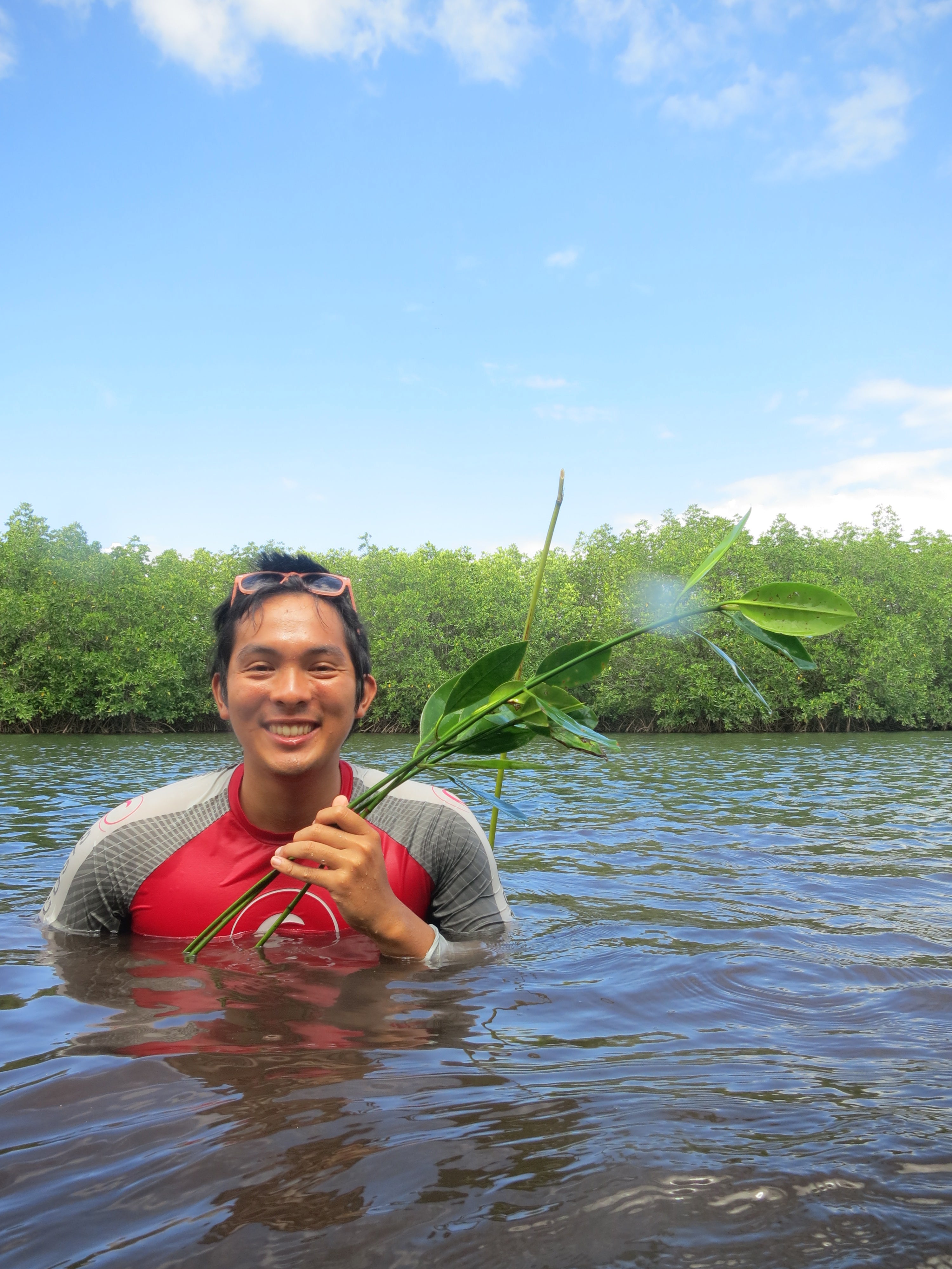 Give a Tree, Support a Fisherman - Mangrove Reforestation in Lobo, Batangas and Abatan Bohol