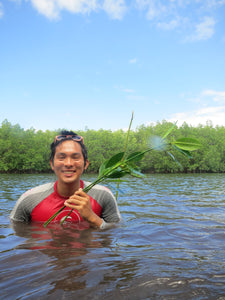 Give a Tree, Support a Fisherman - Mangrove Reforestation in Lobo, Batangas and Abatan Bohol